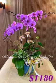 Table arrangement - Deluxe CODE 62897